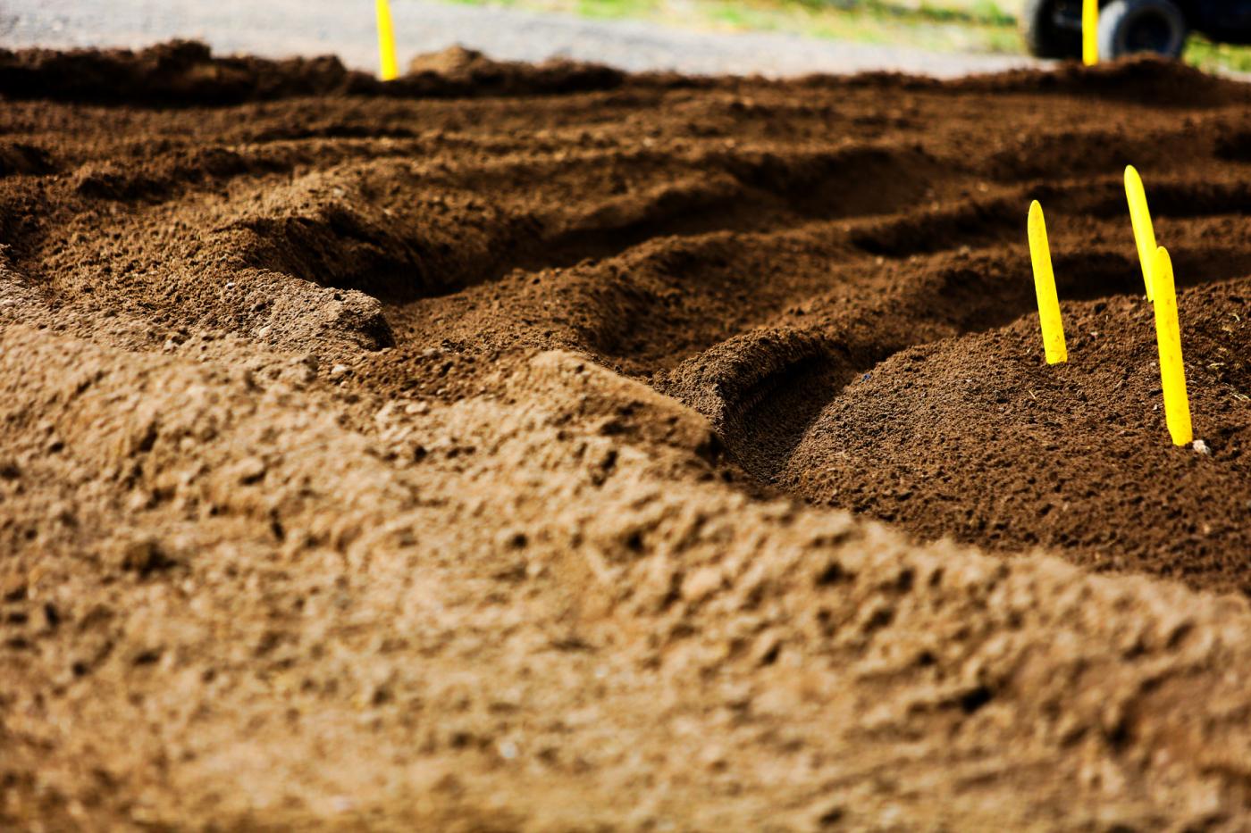 BDW50462-01-3311421104-O