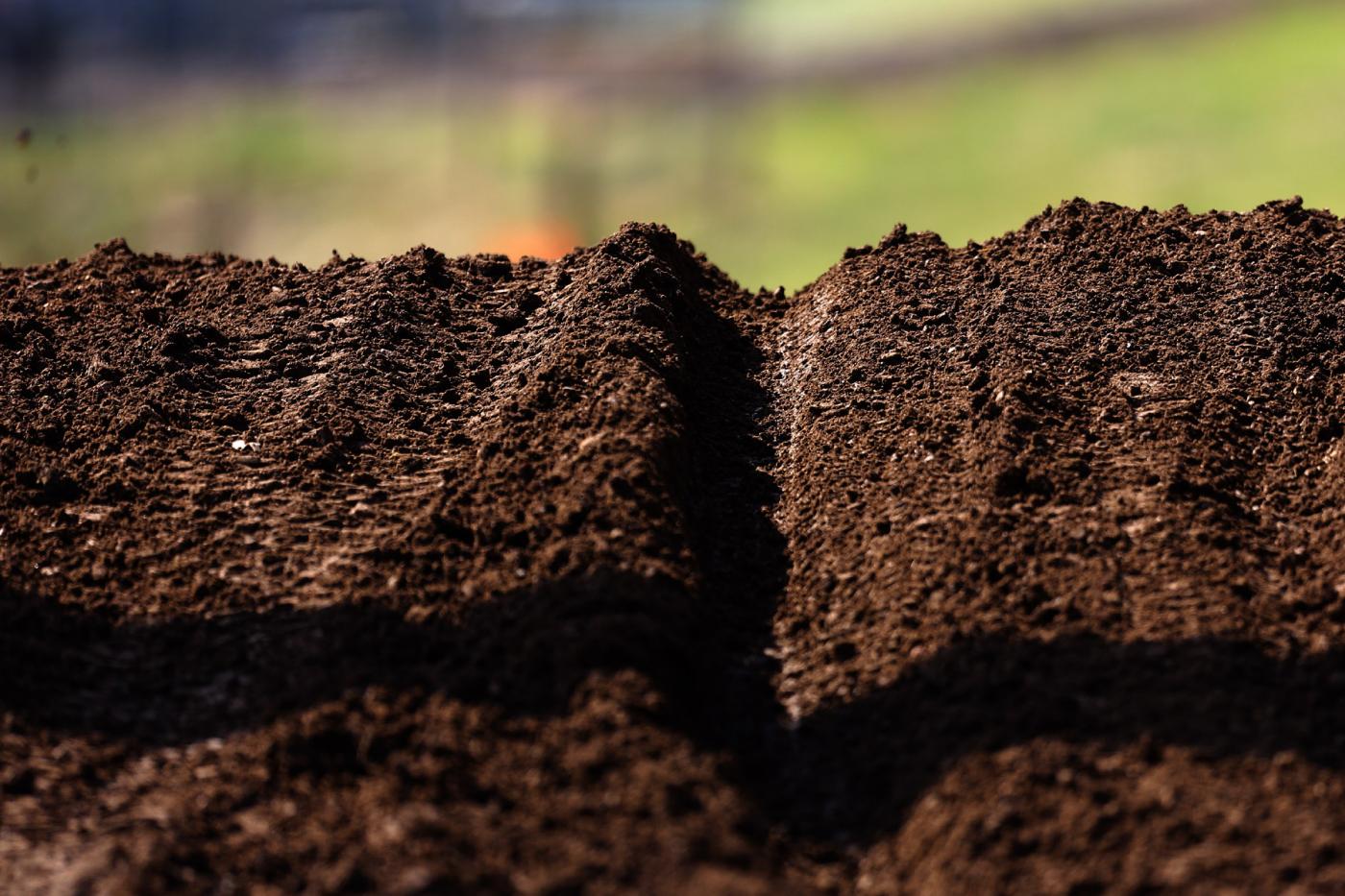 BDW59213-3311421570-O