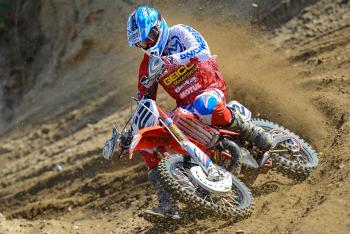 Webb Wins Last Dog Standing