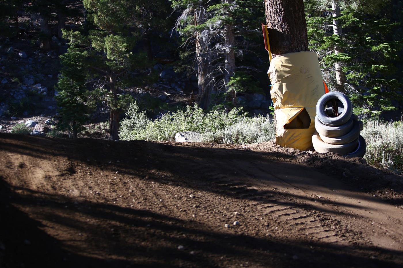 BDW50001-1-102-3358693161-O