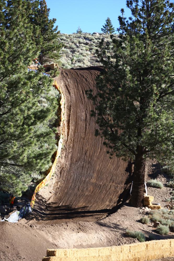 BDW50001-1-99-3358693020-O