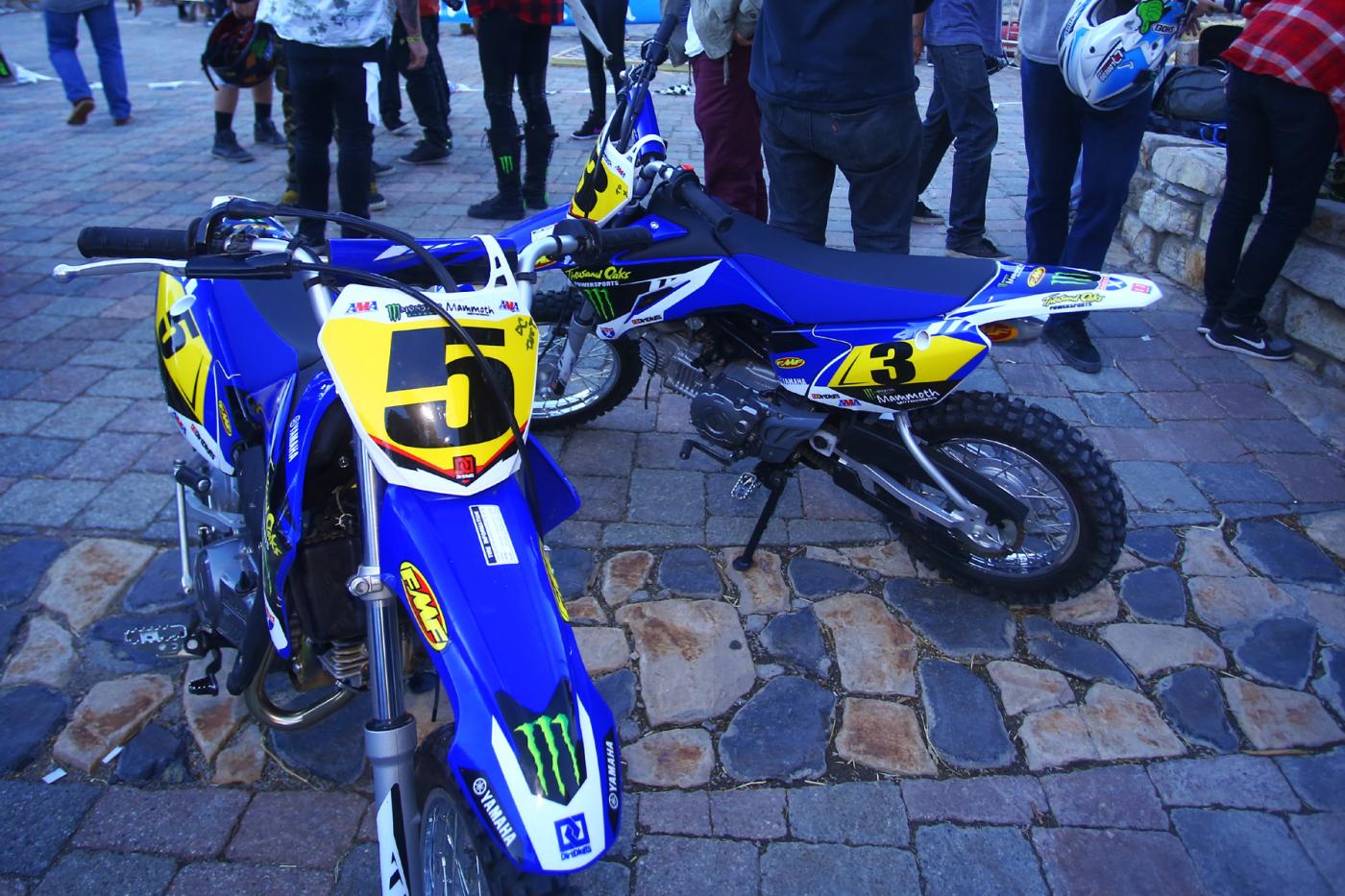 BDW59966-3358691630-O