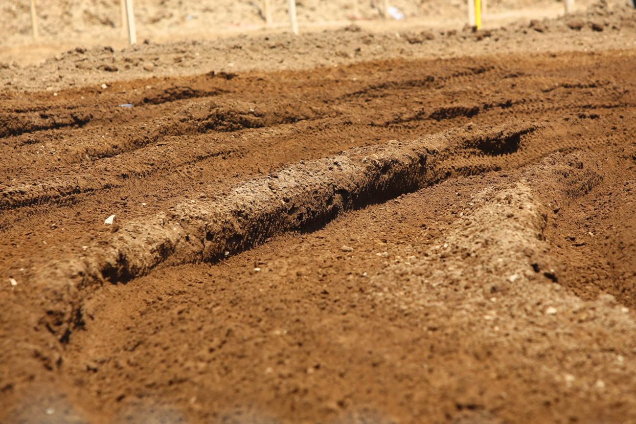 Race Day Feed: RedBud