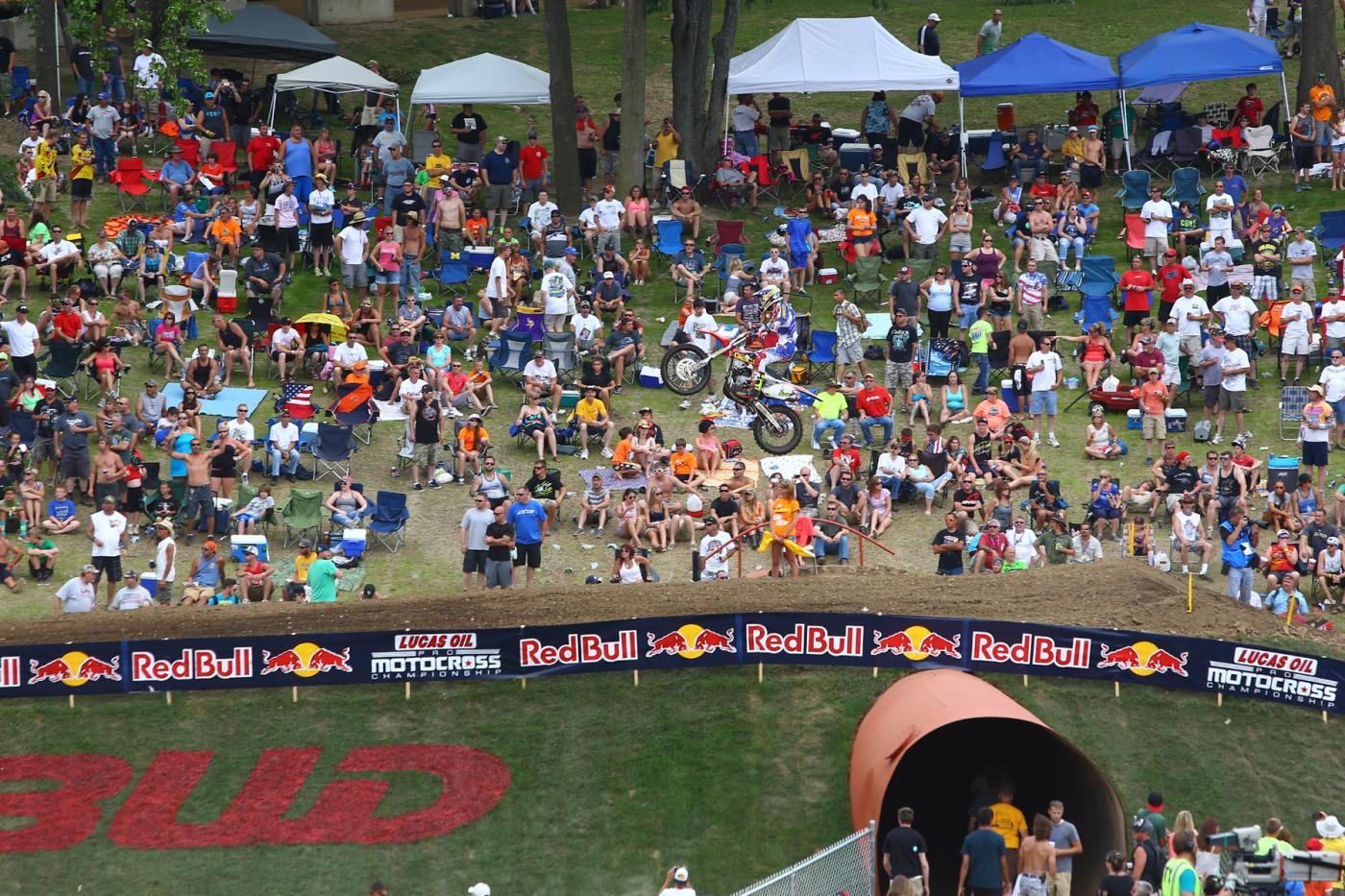 BDW51372-3375664398-O