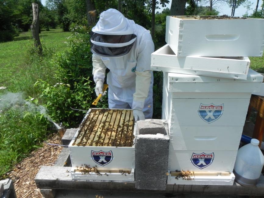Glenn gives his bees motivation to make honey with the painted on Racer X shield. 
