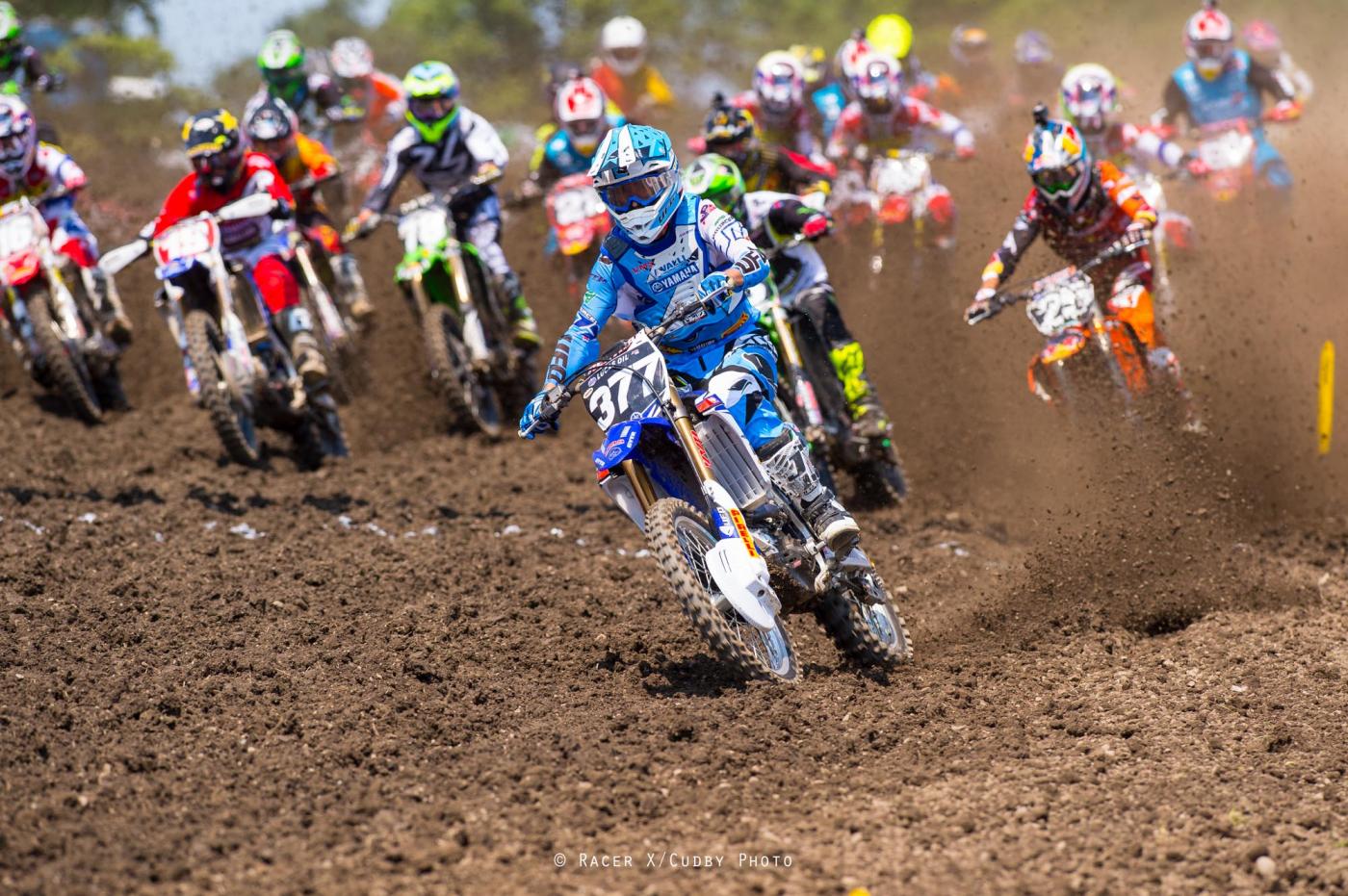 Pourcel-Unadilla2014-Cudby-031