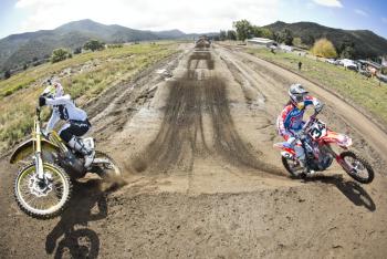 Red Bull Straight Rhythm Tickets On Sale