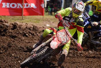 Facciotti to Replace Malcolm Stewart at Utah