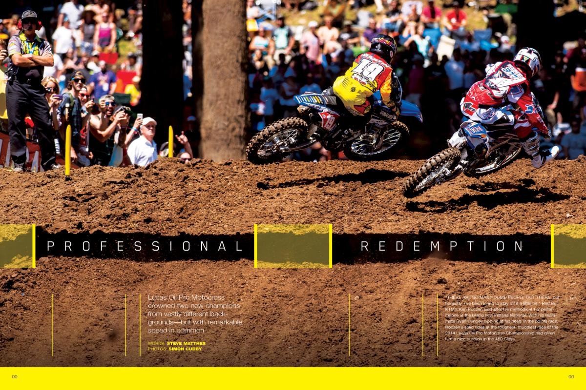 PROFESSIONAL REDEMPTION