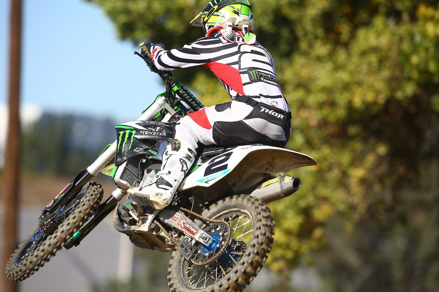 BDW56231-3667784515-O