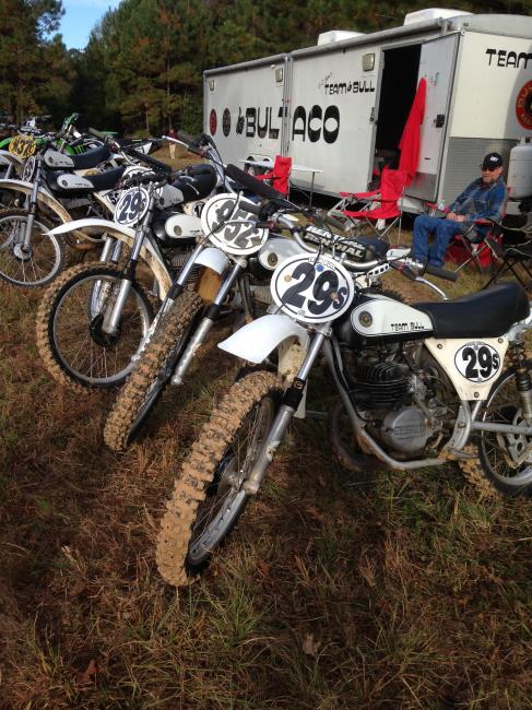 Team Bull at the Party in the Pasture. 