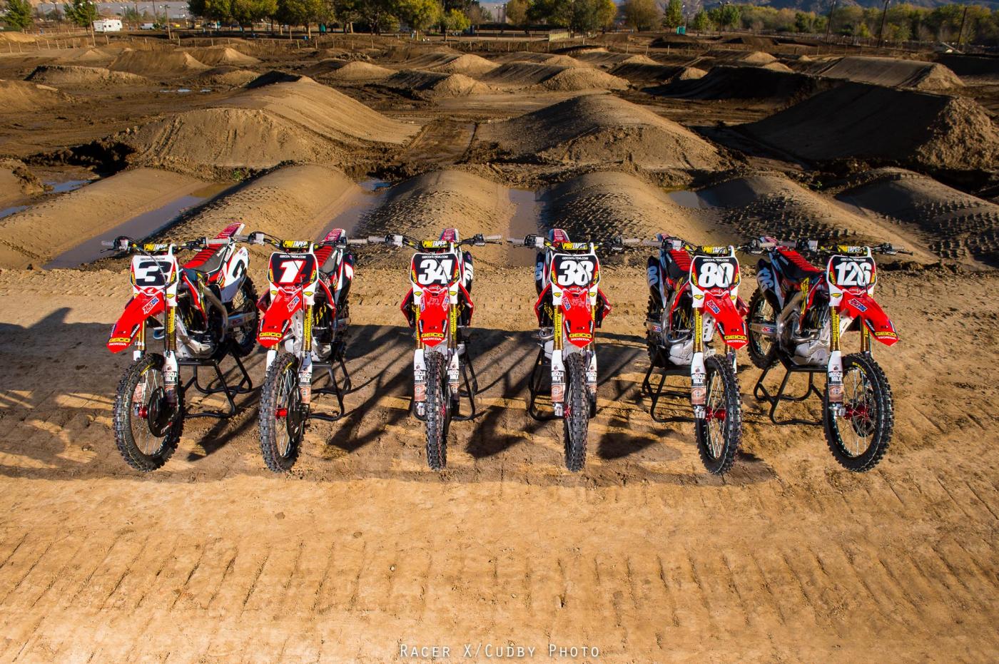 MiscGeico2015-Cudby-089