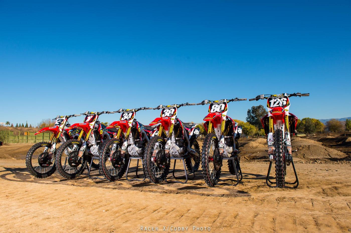 MiscGeico2015-Cudby-098