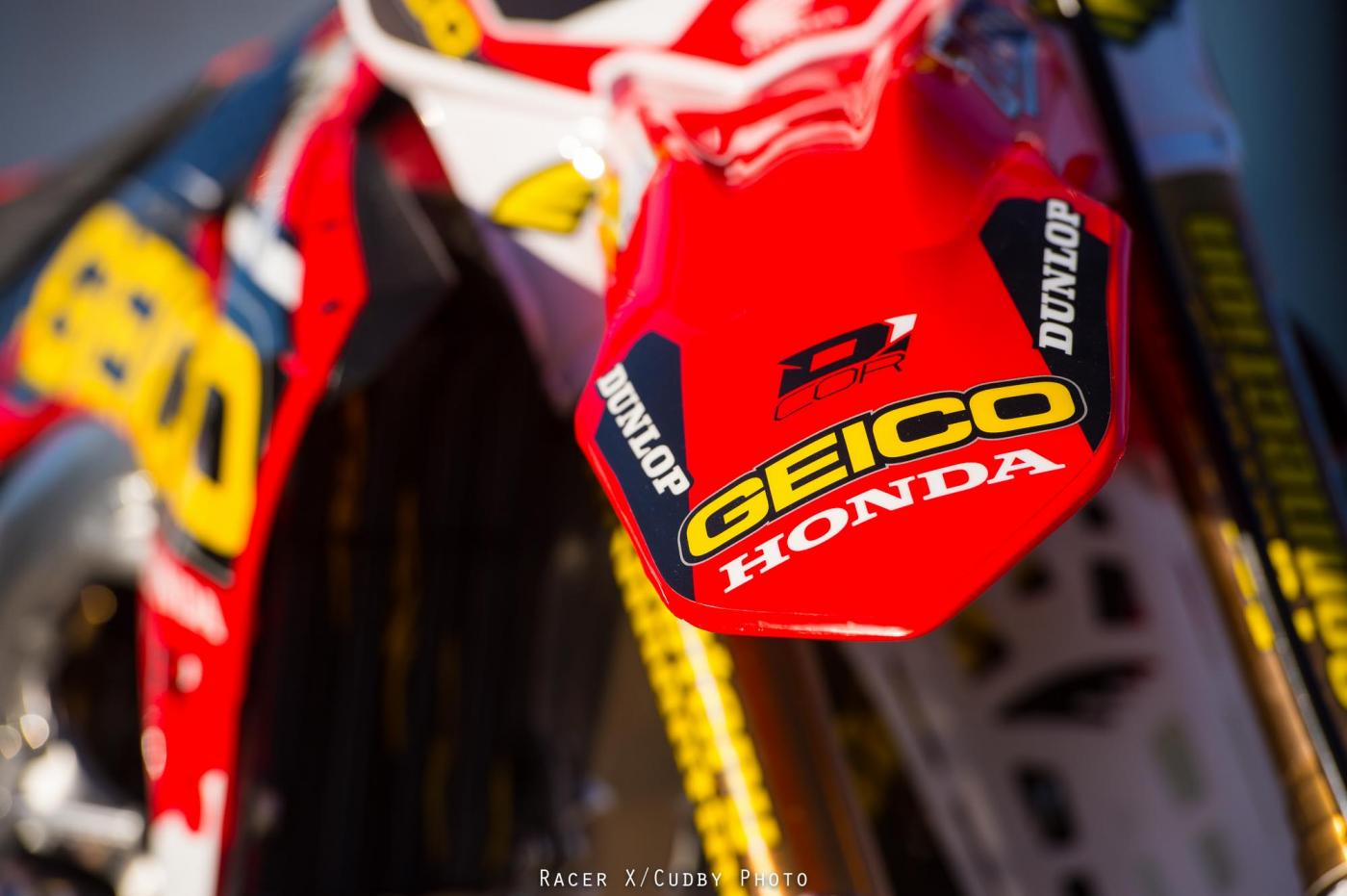 MiscGeico2015-Cudby-047