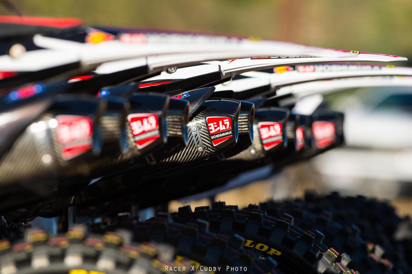 MiscGeico2015-Cudby-154