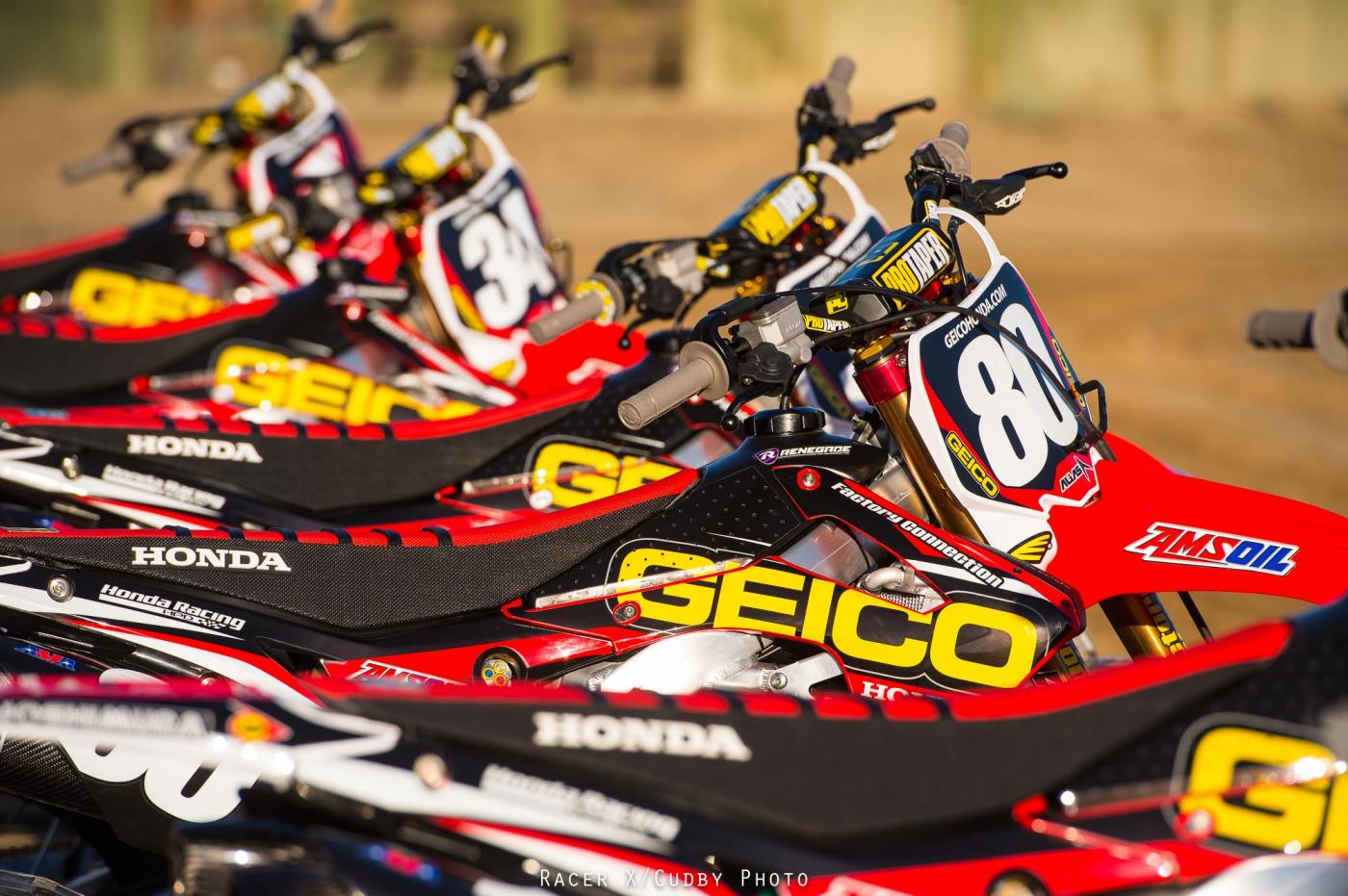 MiscGeico2015-Cudby-035