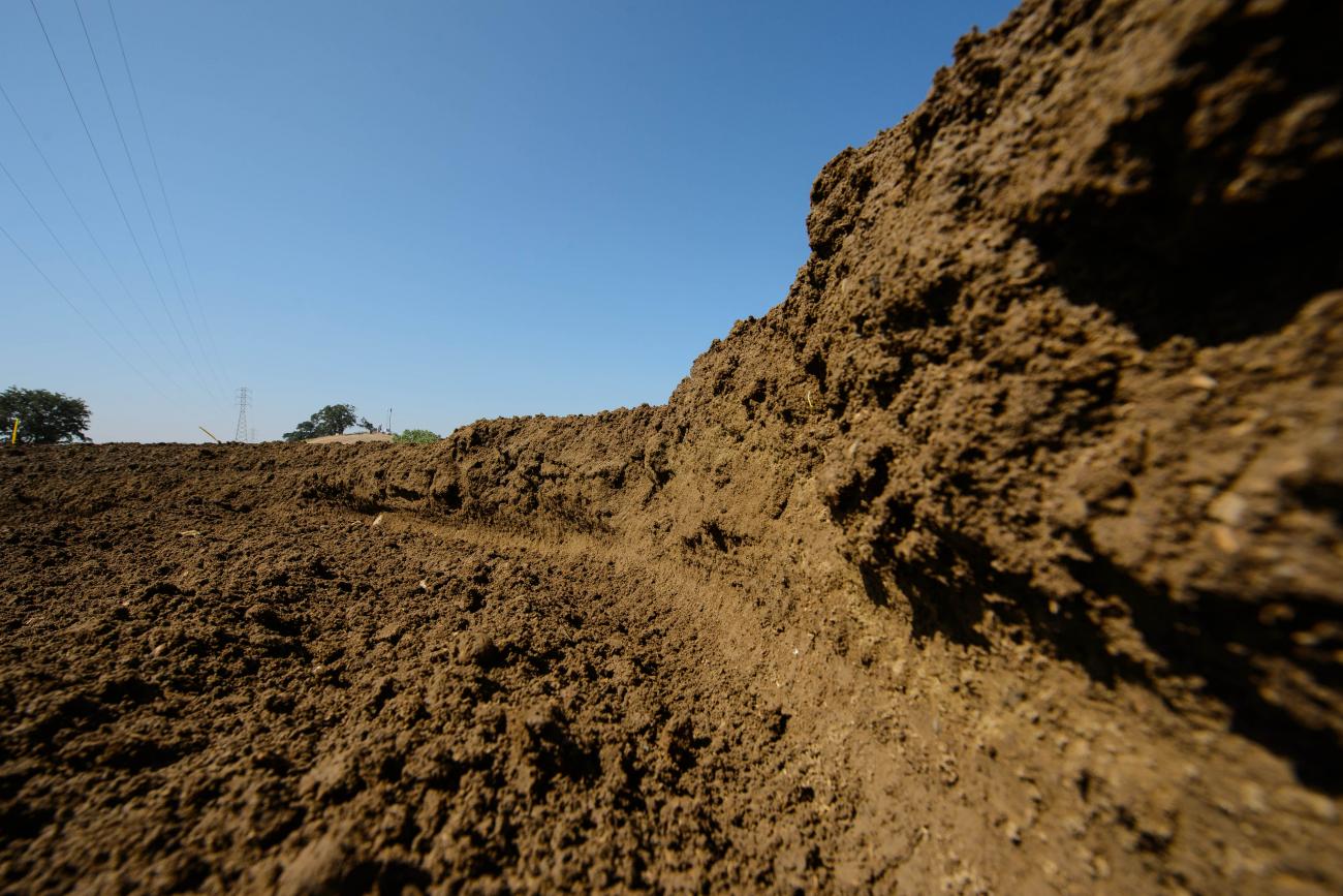 250 Words: Going Riding