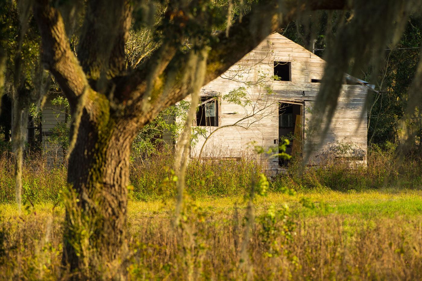 TwoTwoDec2014-Cudby-619