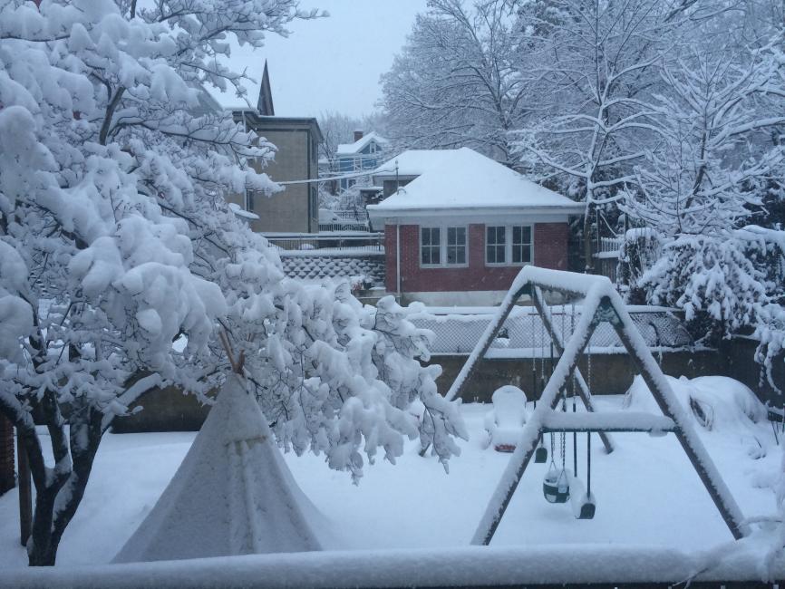 The track attracts more than just world-class talent and fans.  