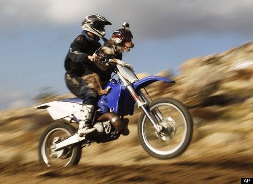 Godspeed, Opee the Motocross Dog