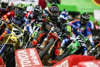 A Dog's World: Detroit