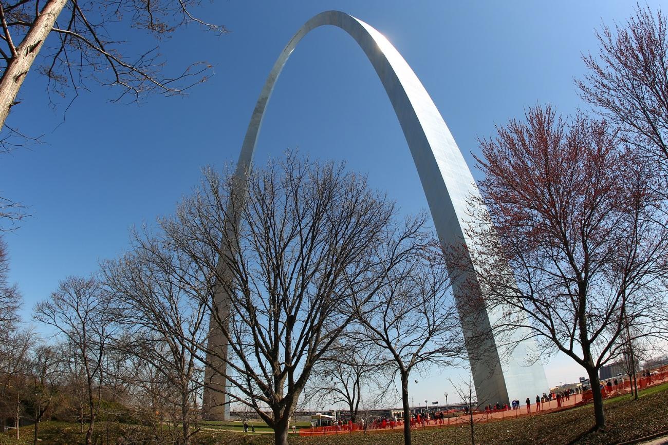 A Dog's World: St. Louis