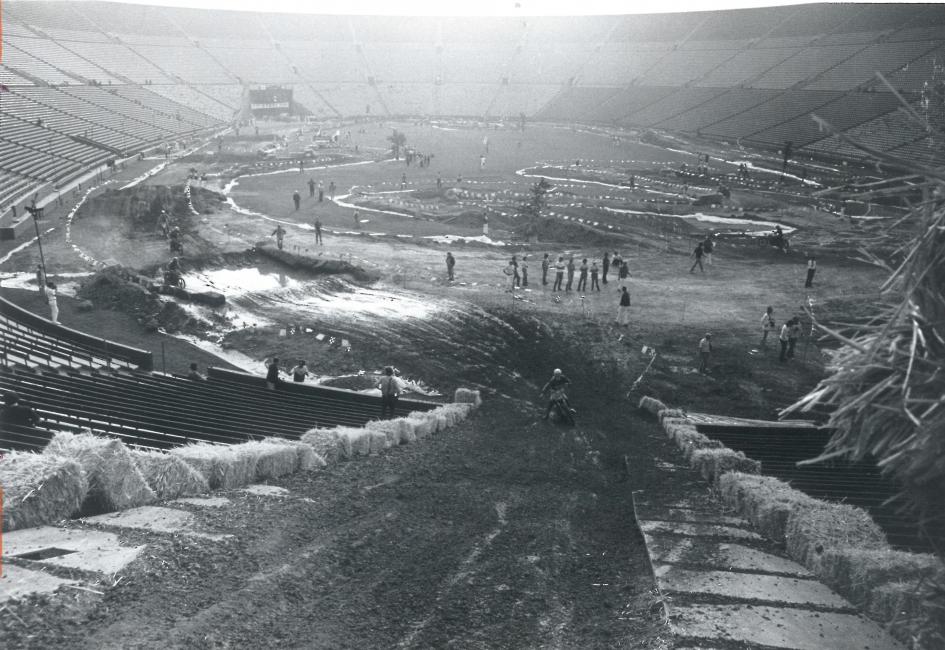 Exposed plywood and organic Tuff Blox (or 