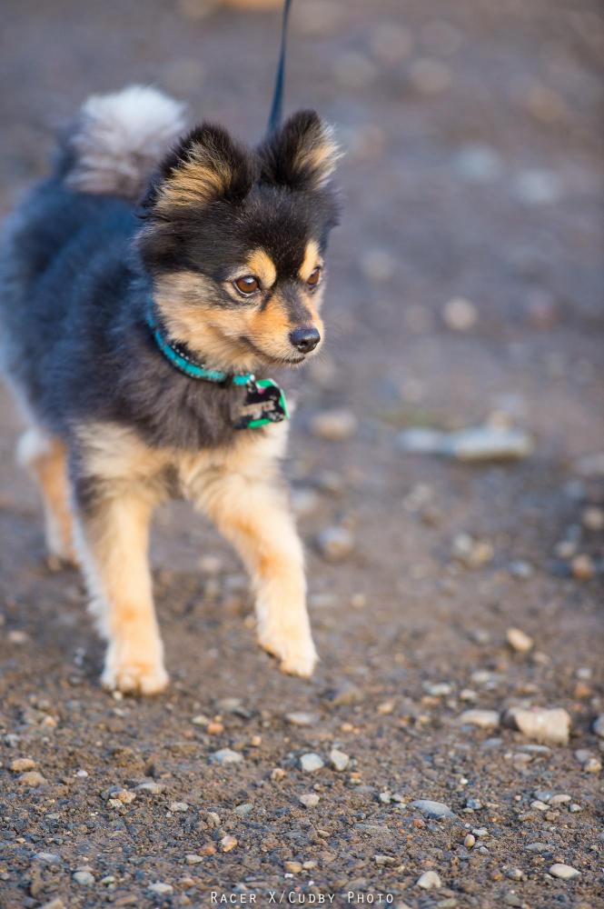 Misc-HangtownMX2015-Cudby-086