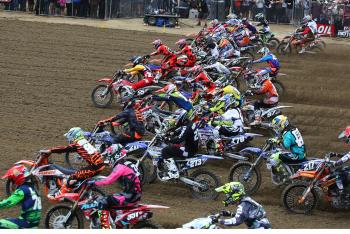 A Dog's World: Glen Helen