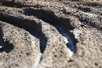 A Dog's World: Thunder Valley