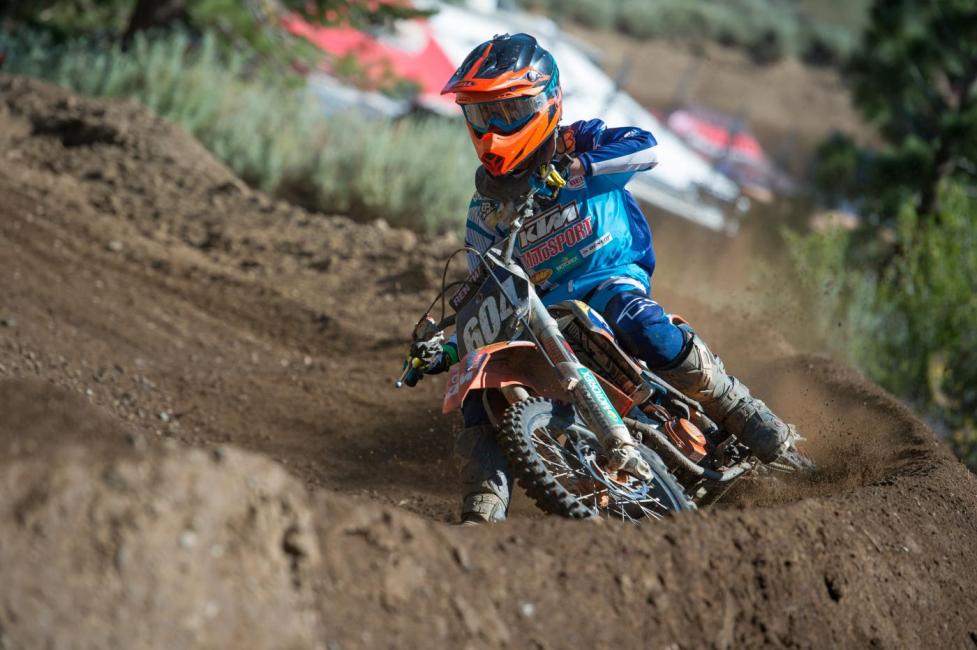 Bikes have gotten slightly more expensive over the years if you adjust for inflation, but the quality and performance have improved significantly.