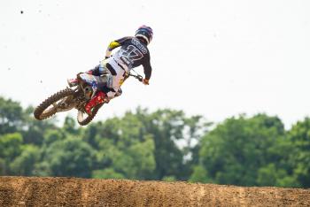 RedBud Highlights