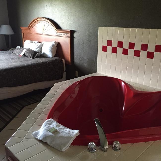 The boys got a surprise when they entered their hotel room.