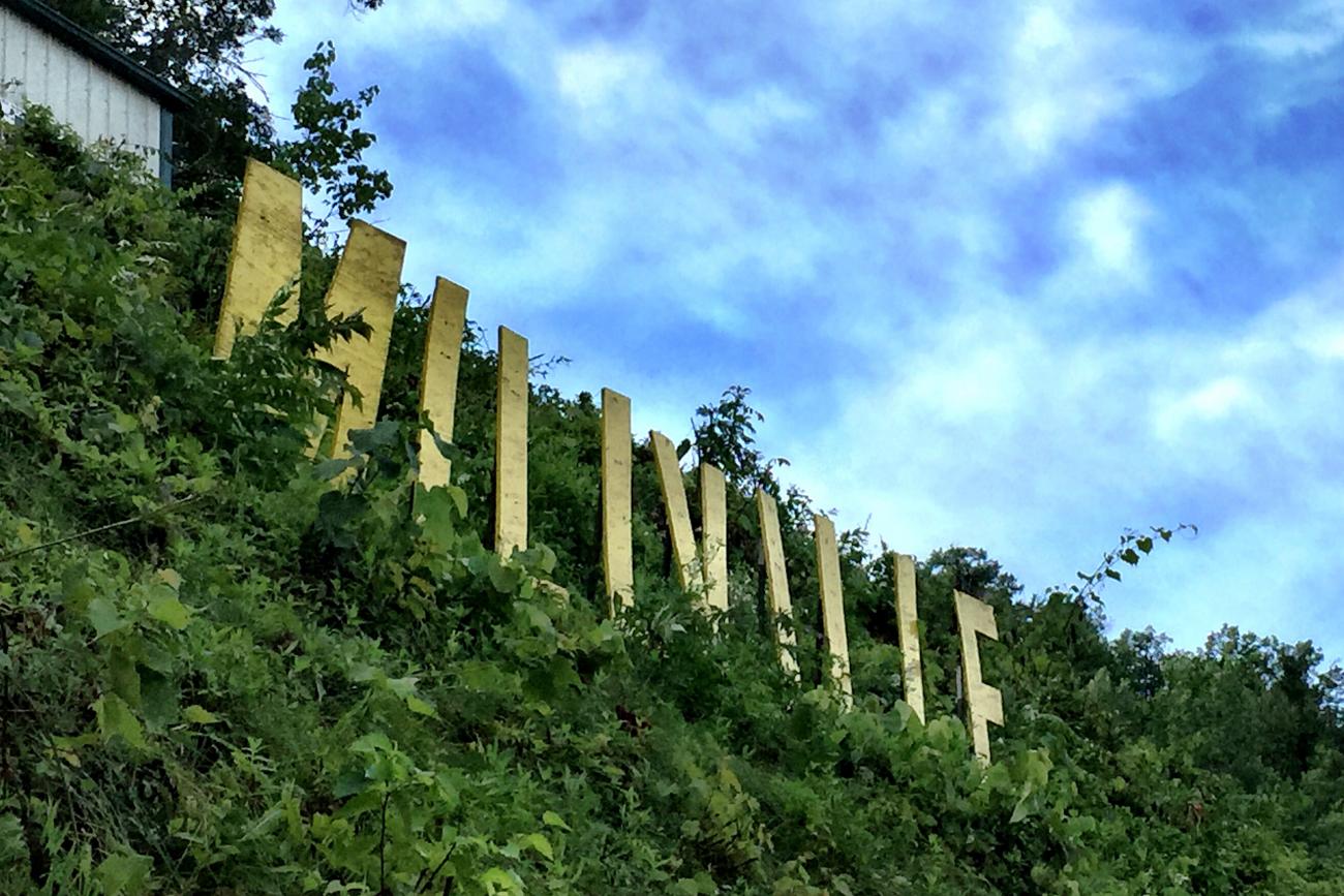 450 Words: Dungey's Long Game