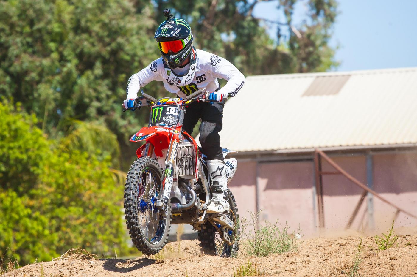 Faisst_Compound_-_Adams_-_Owens16