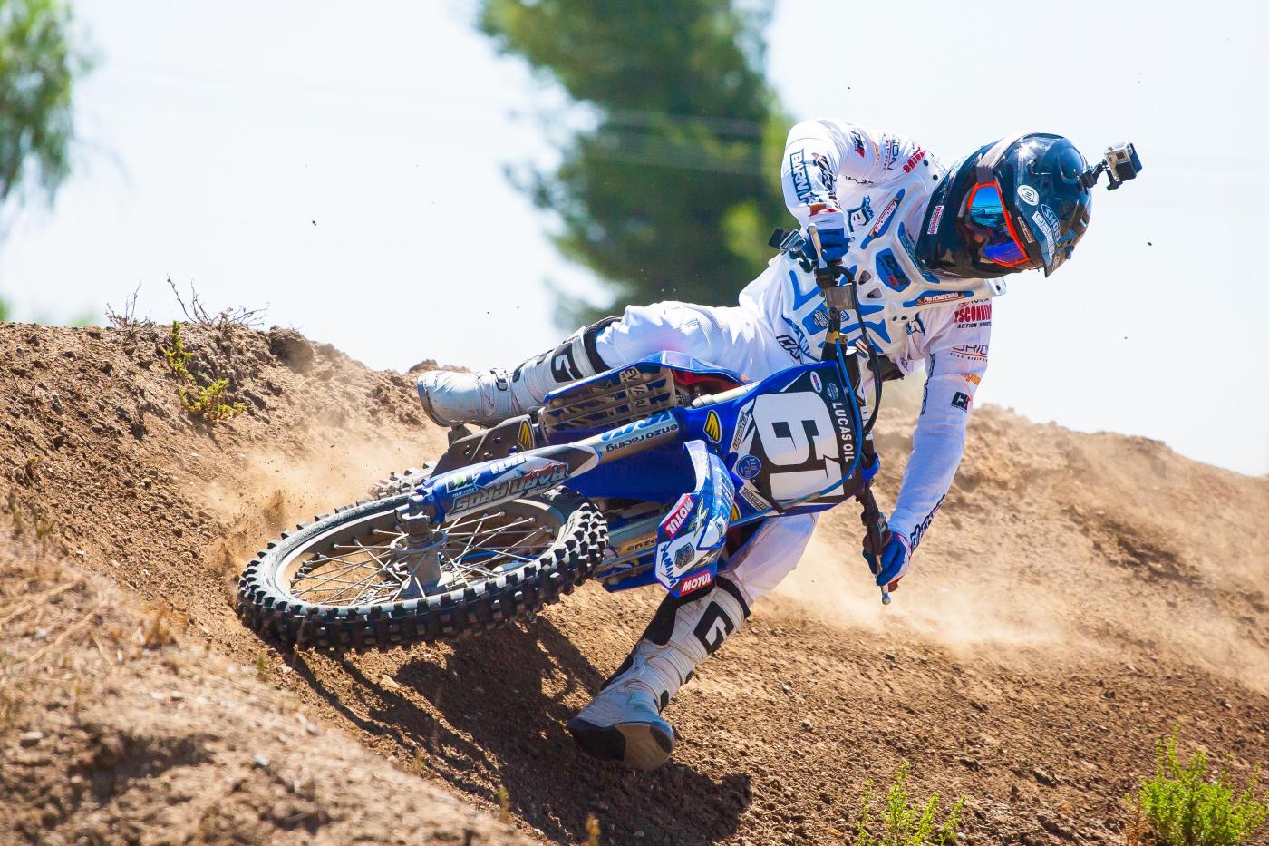 Faisst_Compound_-_Leib_-_Owens28