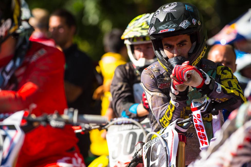 Where will Bogle be next year?