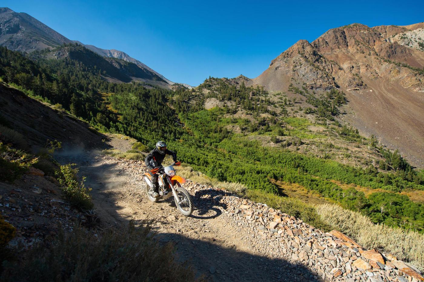 TLDADVintro-Cudby-020