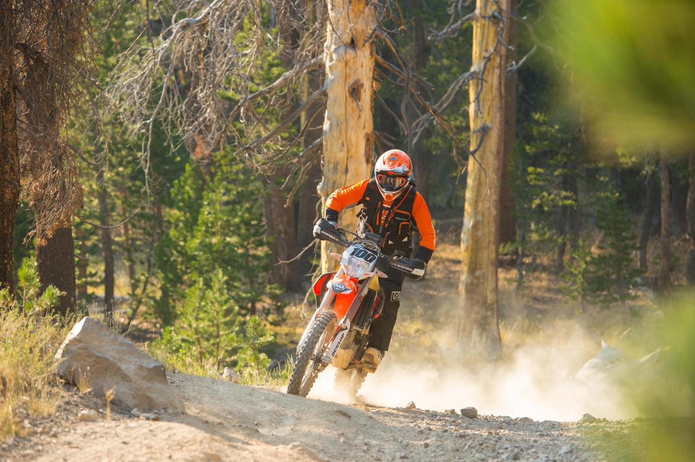 TLDADVintro-Cudby-015