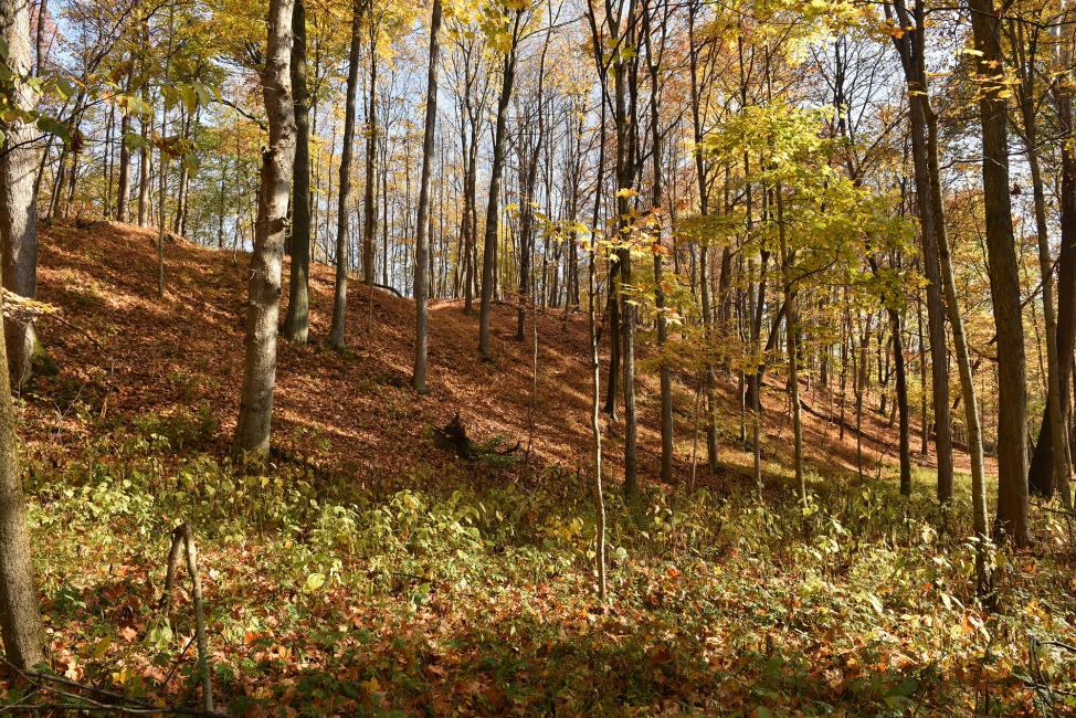 Don't miss Halloween at Ironman!