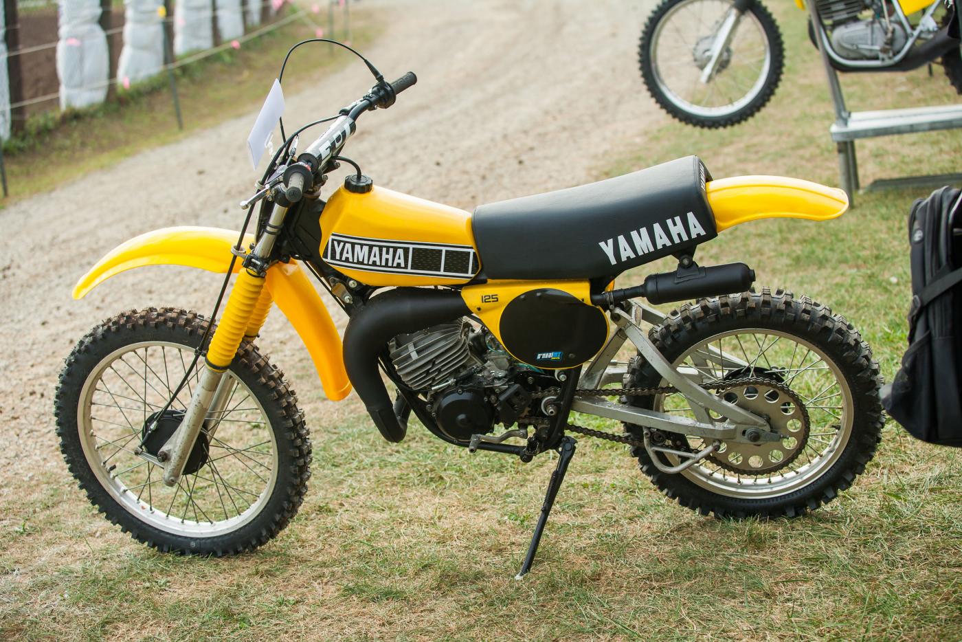 Vet-2015-AndrewFredrickson-6