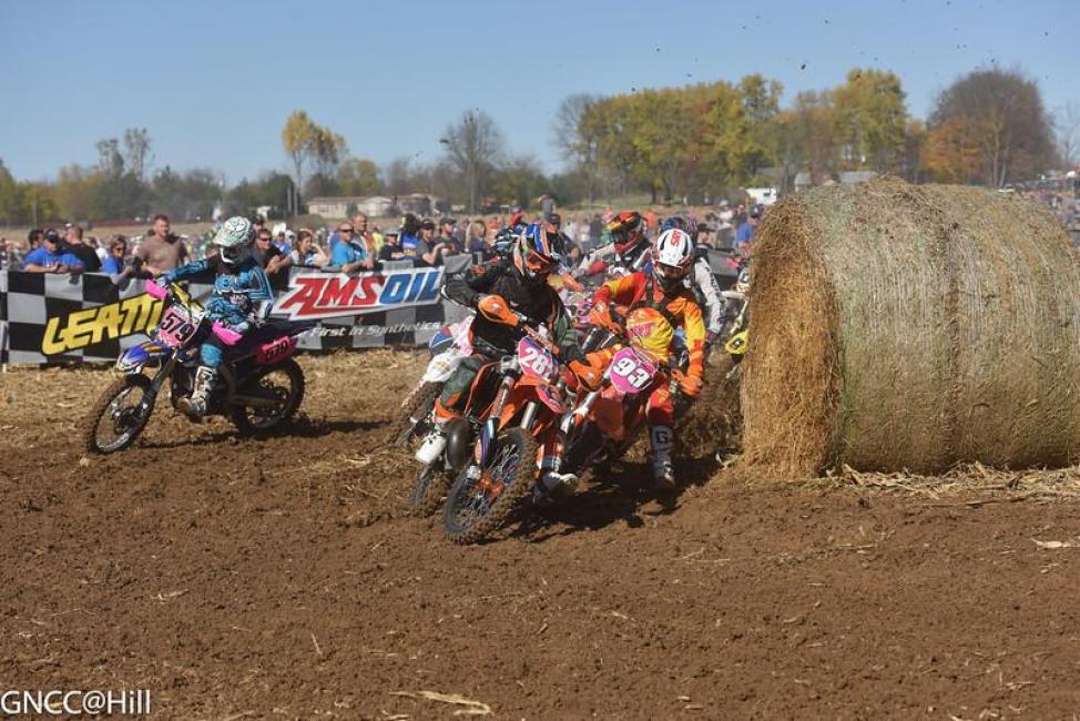 Riders are encouraged to deck their bikes out in pink as well as themselves.