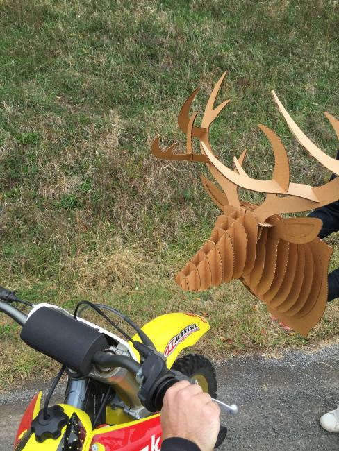 Halloween Idea #7: Go as Greg Albertyn the year he hit that deer on his Suzuki while leading the Motocross des Nations.