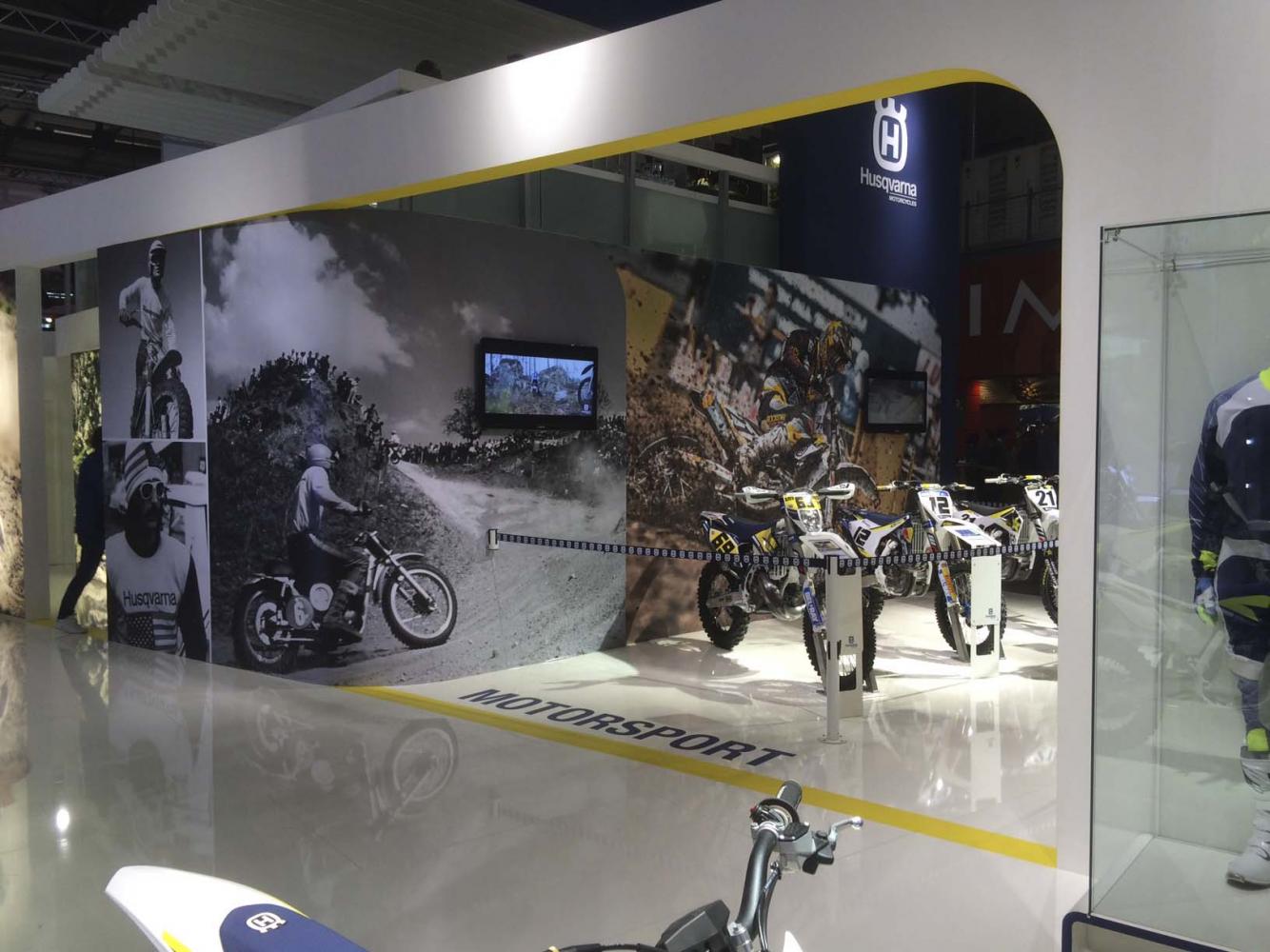 Sweet Husky display.