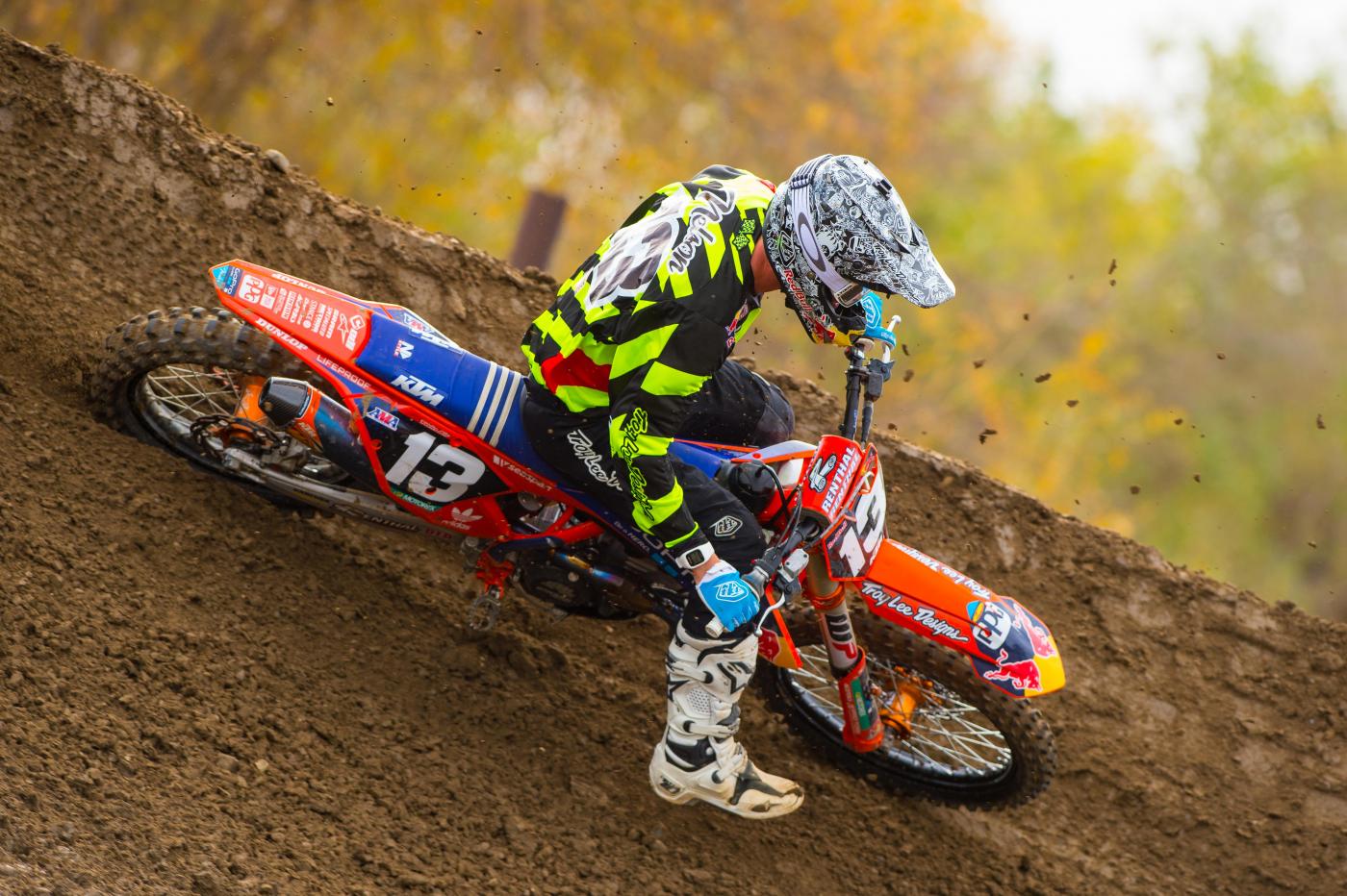 Nelson-MilestoneDec2015-Cudby-001A