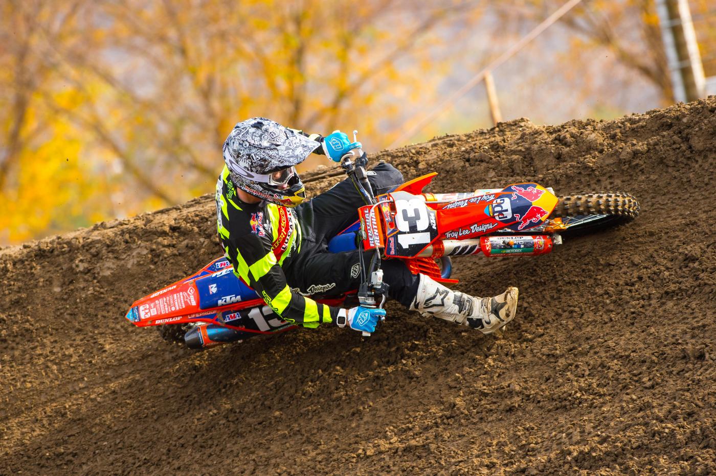 Nelson-MilestoneDec2015-Cudby-001