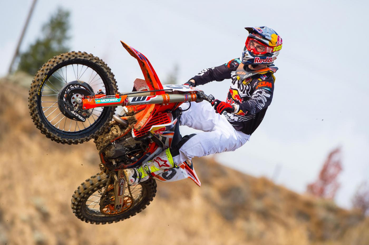 Wilson-MilestoneDec2015-Cudby-008