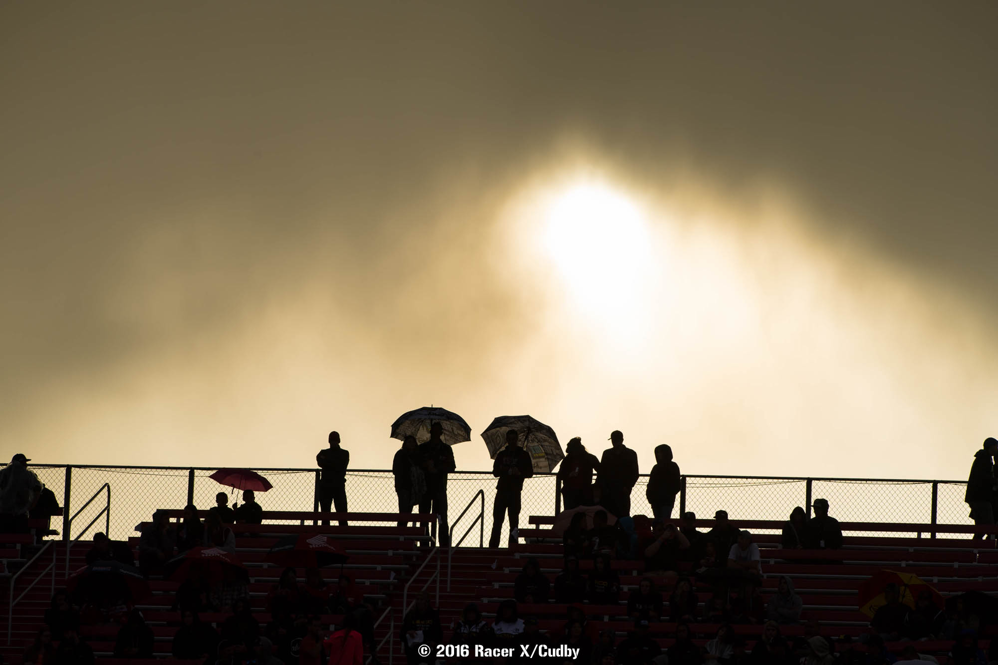 Misc-VegasSX2016-Cudby-119