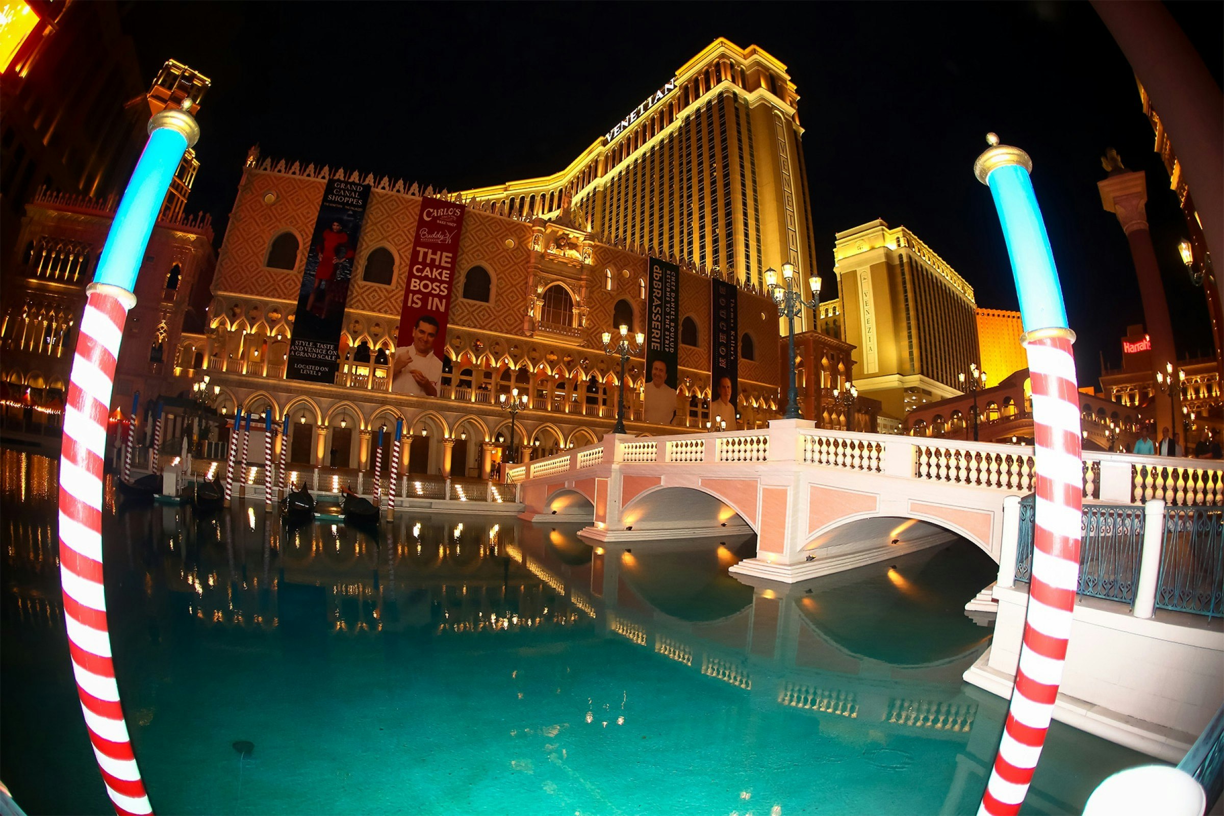 A Dog's World: Las Vegas