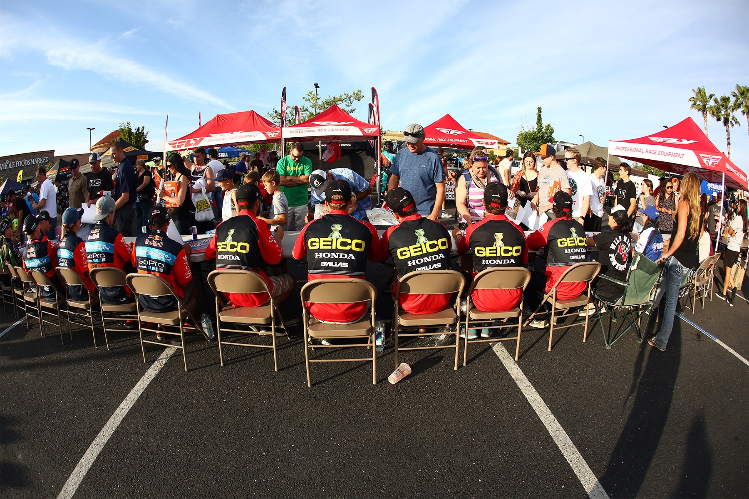 A Dog's World: Hangtown